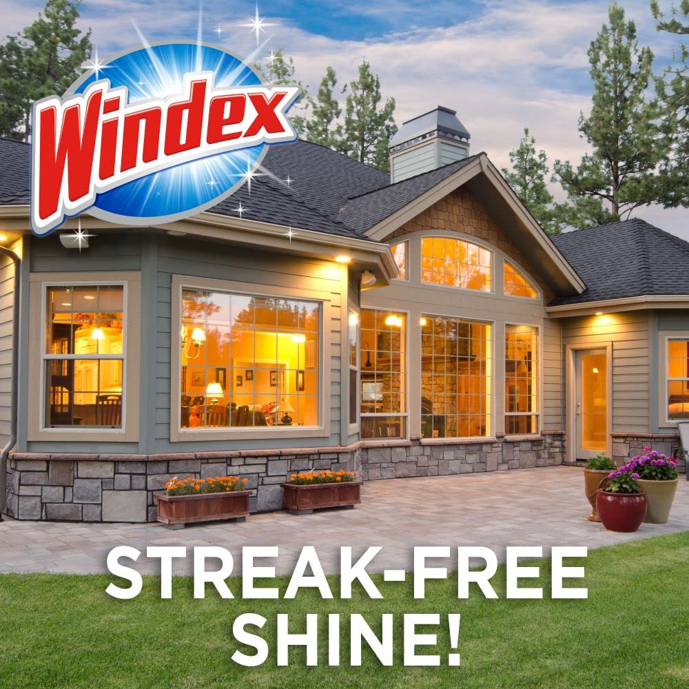 Windex Outdoor Window, Glass, and Patio Cleaner Refill, Streak-Free, Removes Dirt and Grime, Surface Cleaning Shine Spray, 3.8mL Windex