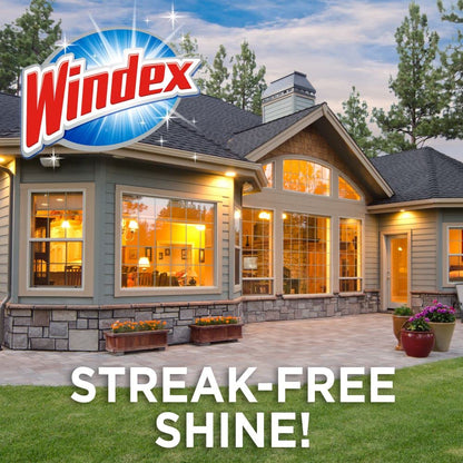 Windex Outdoor Window, Glass, and Patio Cleaner Refill, Streak-Free, Removes Dirt and Grime, Surface Cleaning Shine Spray, 3.8mL Windex