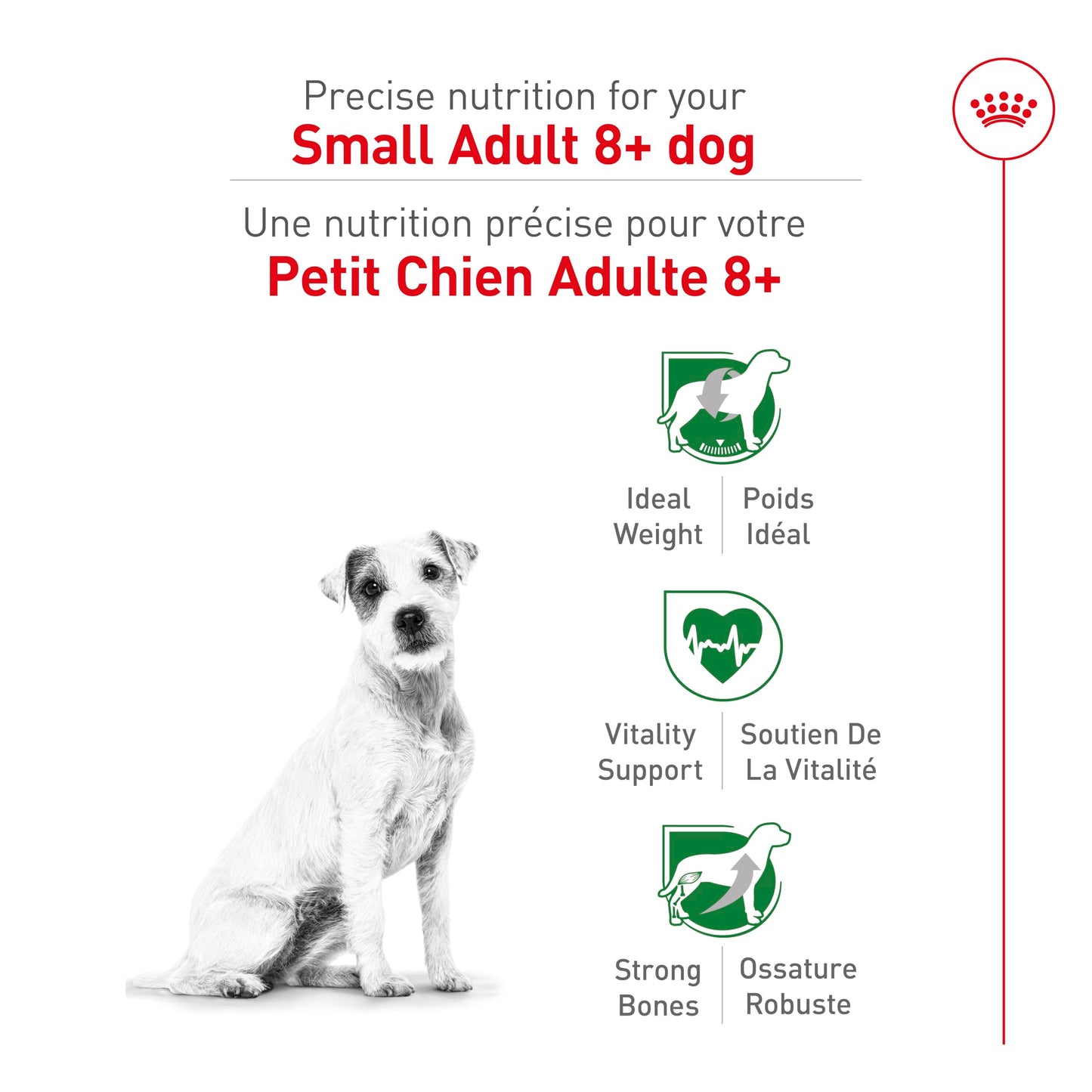Royal Canin Small Adult 8+ Dry Dog Food, 2.5 lb bag ROYAL CANIN