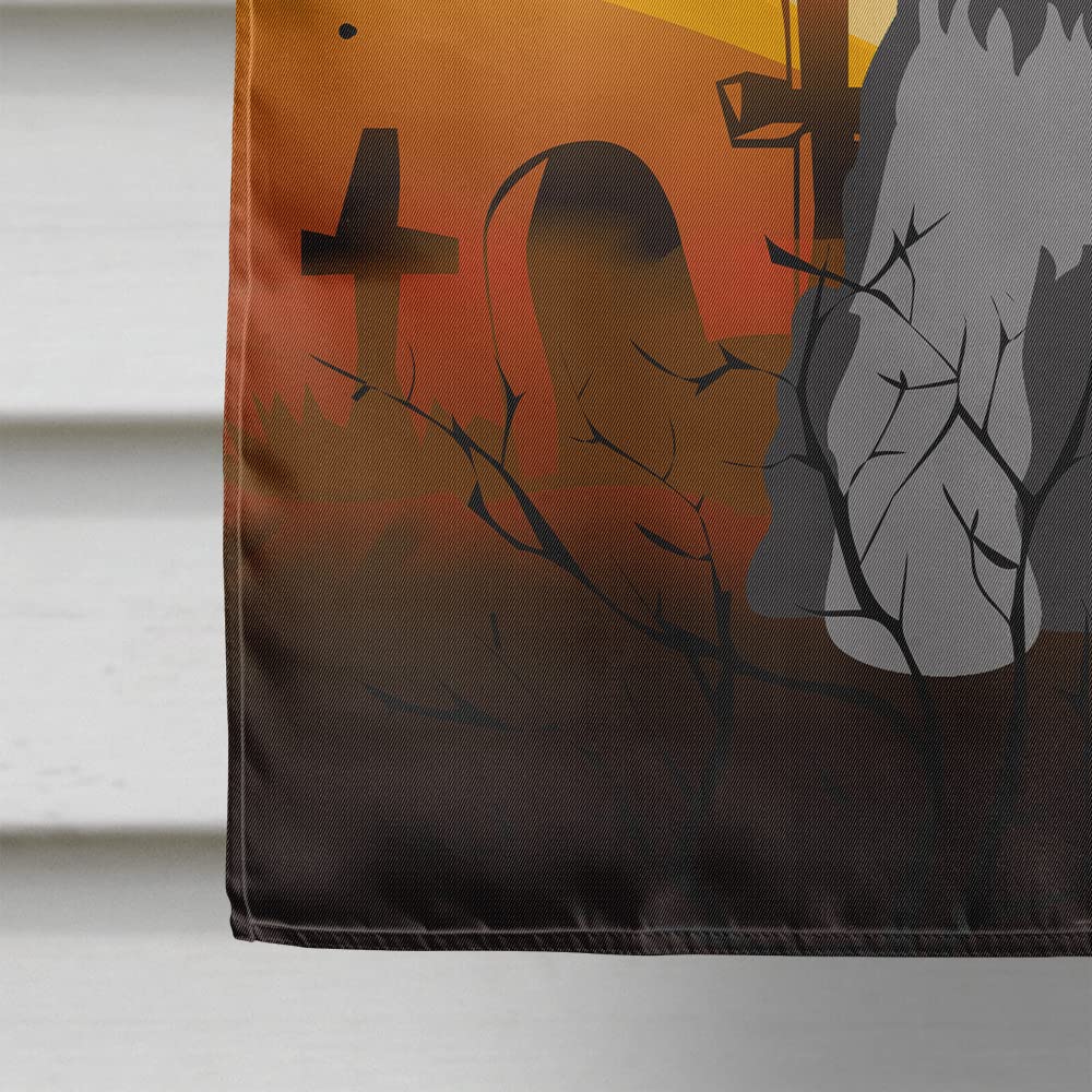 Drapeau de maison en toile Caroline's Treasures BB4318CHF Halloween Schnauzer miniature noir et argent, grand, multicolore