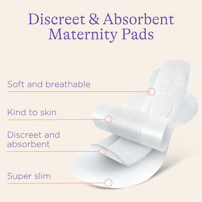 Lansinoh Postpartum Maxi Pads Bundle, 40 Count Lansinoh