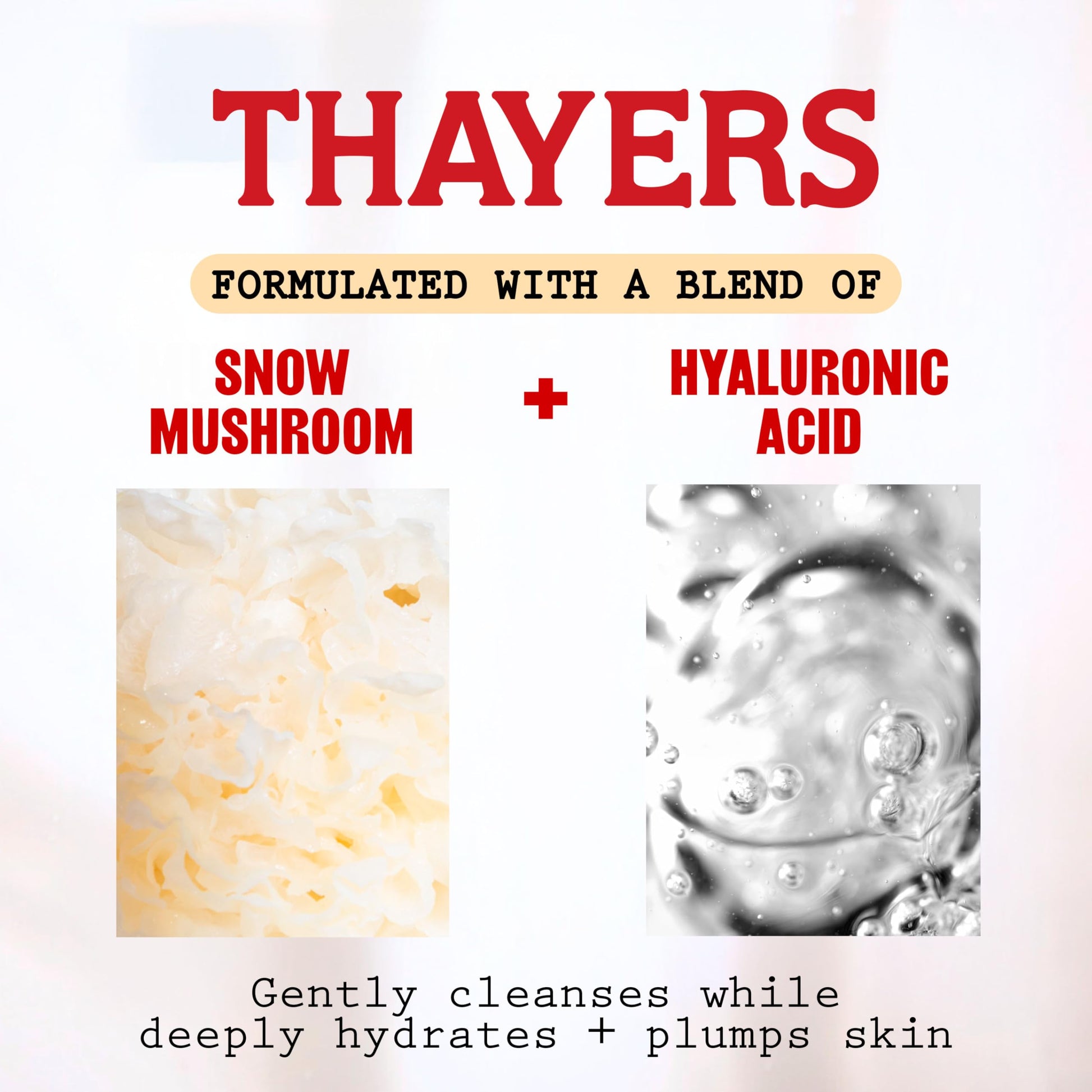 THAYERS Milky Hydrating Face Cleanser with Snow Mushroom and Hyaluronic Acid, Dermatologist Recommended Gentle Facial Wash and Hydrating Skincare for Dry and Sensitive Skin, Paraben Free, 8 FL Oz