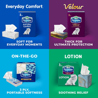 Royale Everyday Comfort 2 Ply Facial Tissue, 24 Tissue Boxes, 100 Tissues per Box - Available at All In One Marketplace Canada