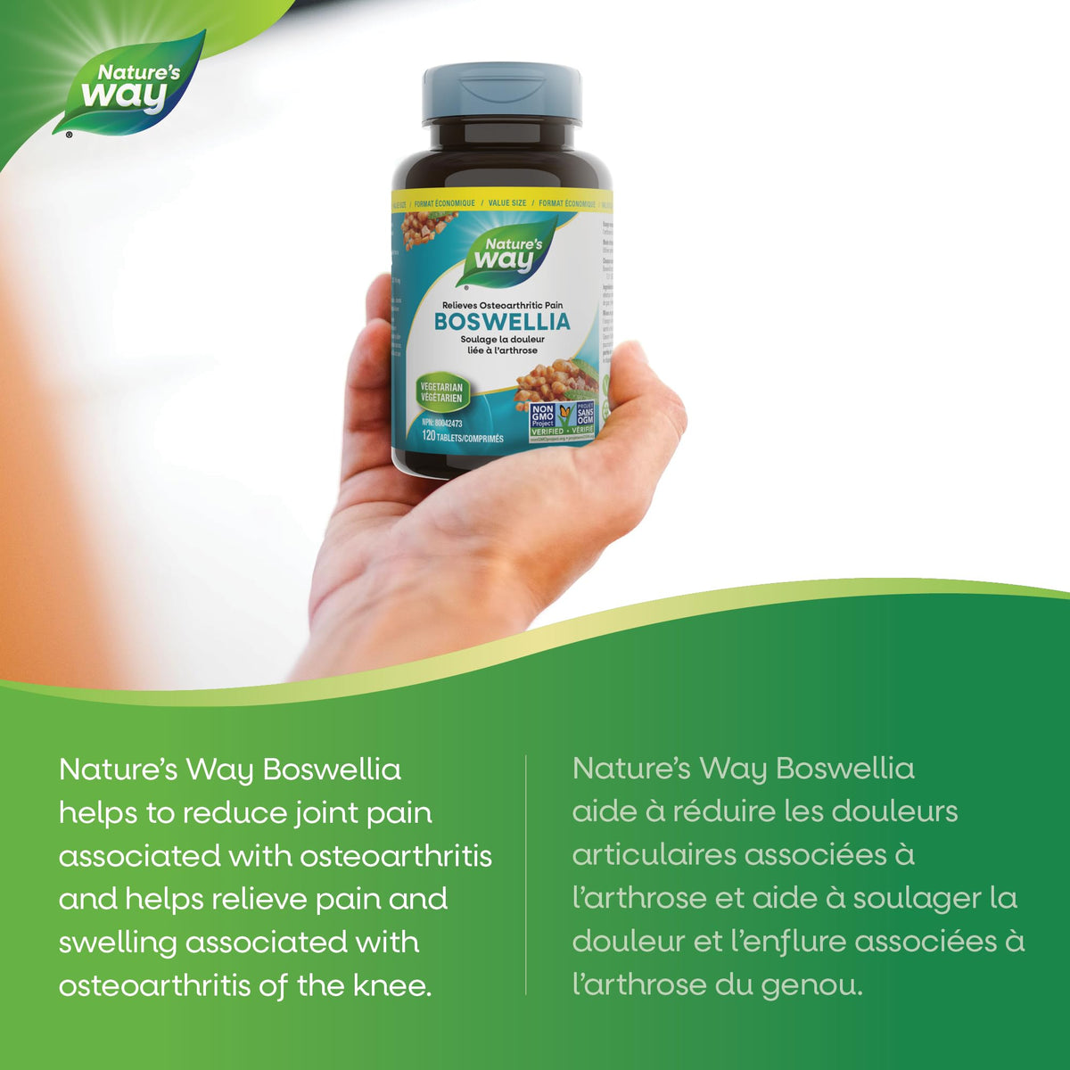 Nature’s Way Boswellia, 115 mg Boswellic Acids – Helps Relieve Joint Pain & Swelling Associated with Osteoarthritis of the Knee – Vegetarian, Non-GMO – 120 Tablets