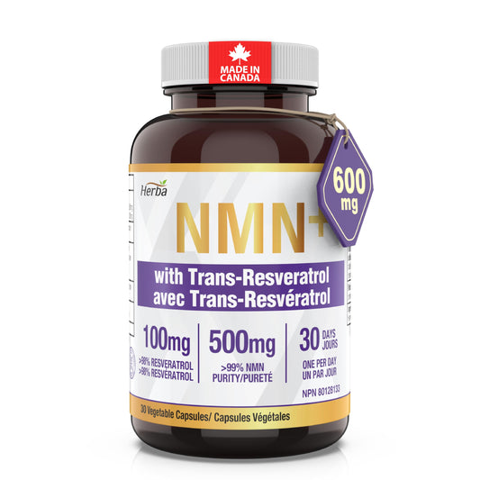 Herba NMN Supplement with Resveratrol – 500mg + 100mg | 100% Purity β-NMN & >99% Resveratrol | NAD Supplement Canada Made | NAD+ Precursor | 30 Capsules - Available at All In One Marketplace Canada