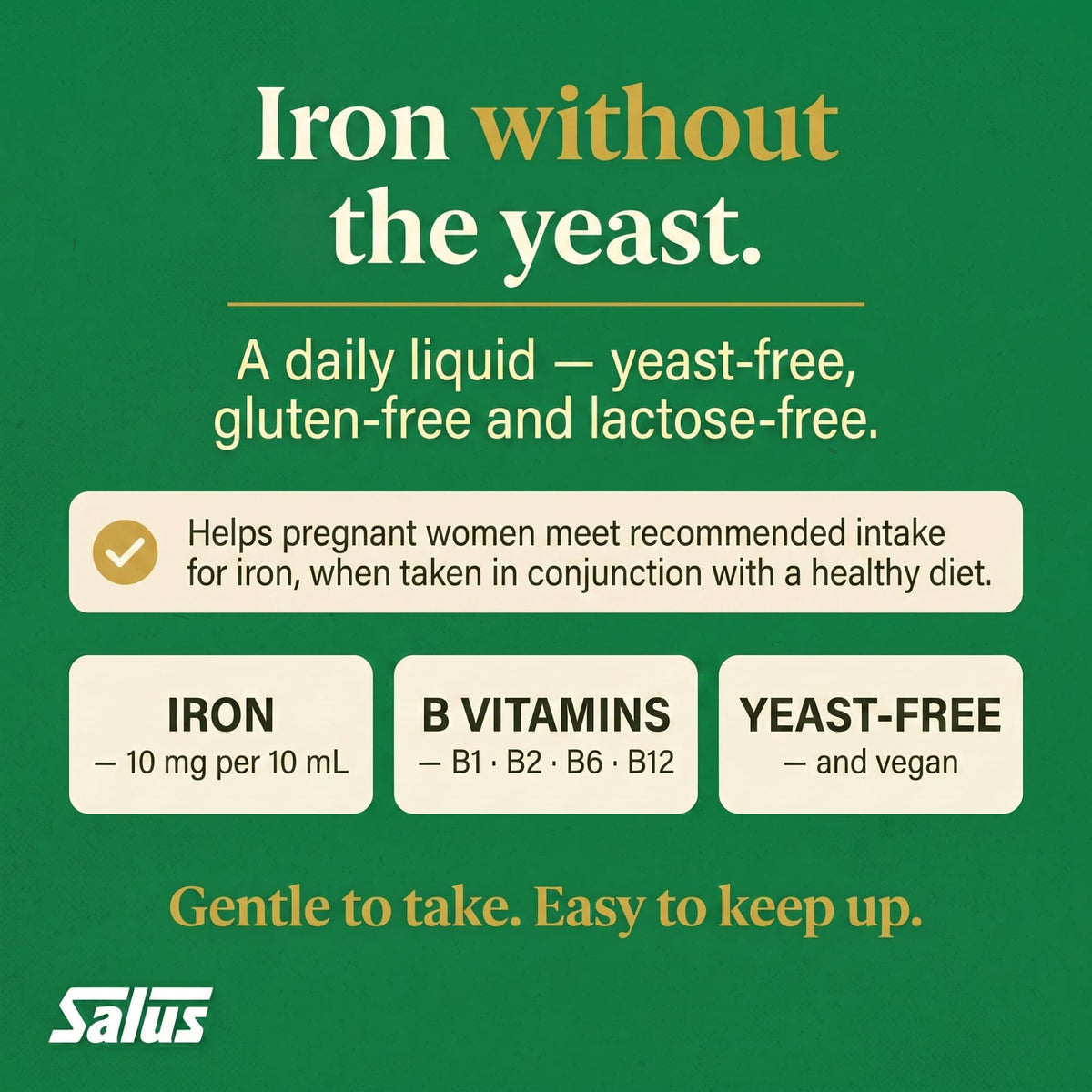 Salus Liquid Iron Supplement, Yeast Free, Gentle Iron, B Vitamins, 250 ml