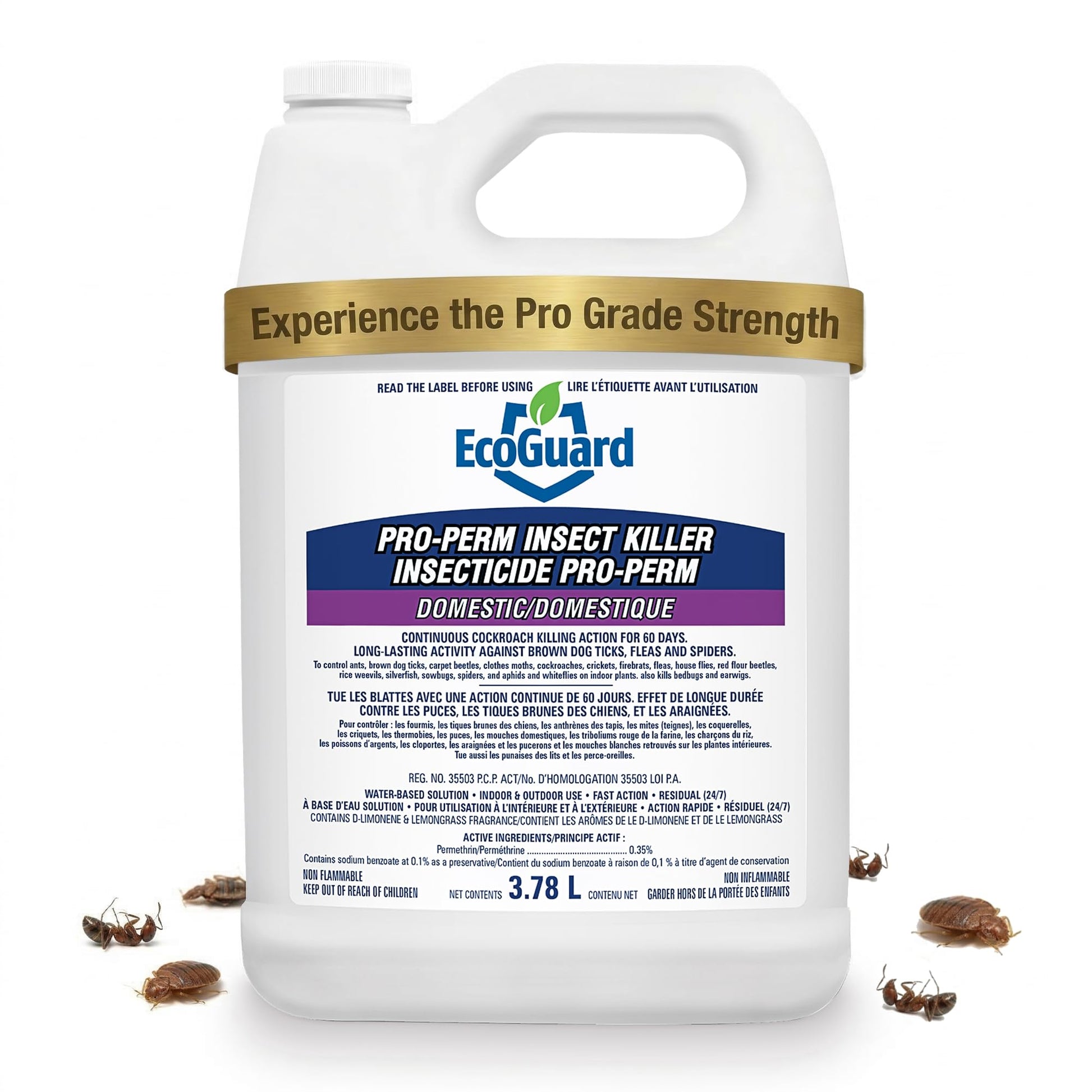 EcoGuard Pro-Perm Insect Killer 3.78L | Professional Insecticide with Fast-Acting Residual Formula | 60 Day Protection | Water-Based, Ready-to-Use Indoors & Outdoors | Sprayer Not Included