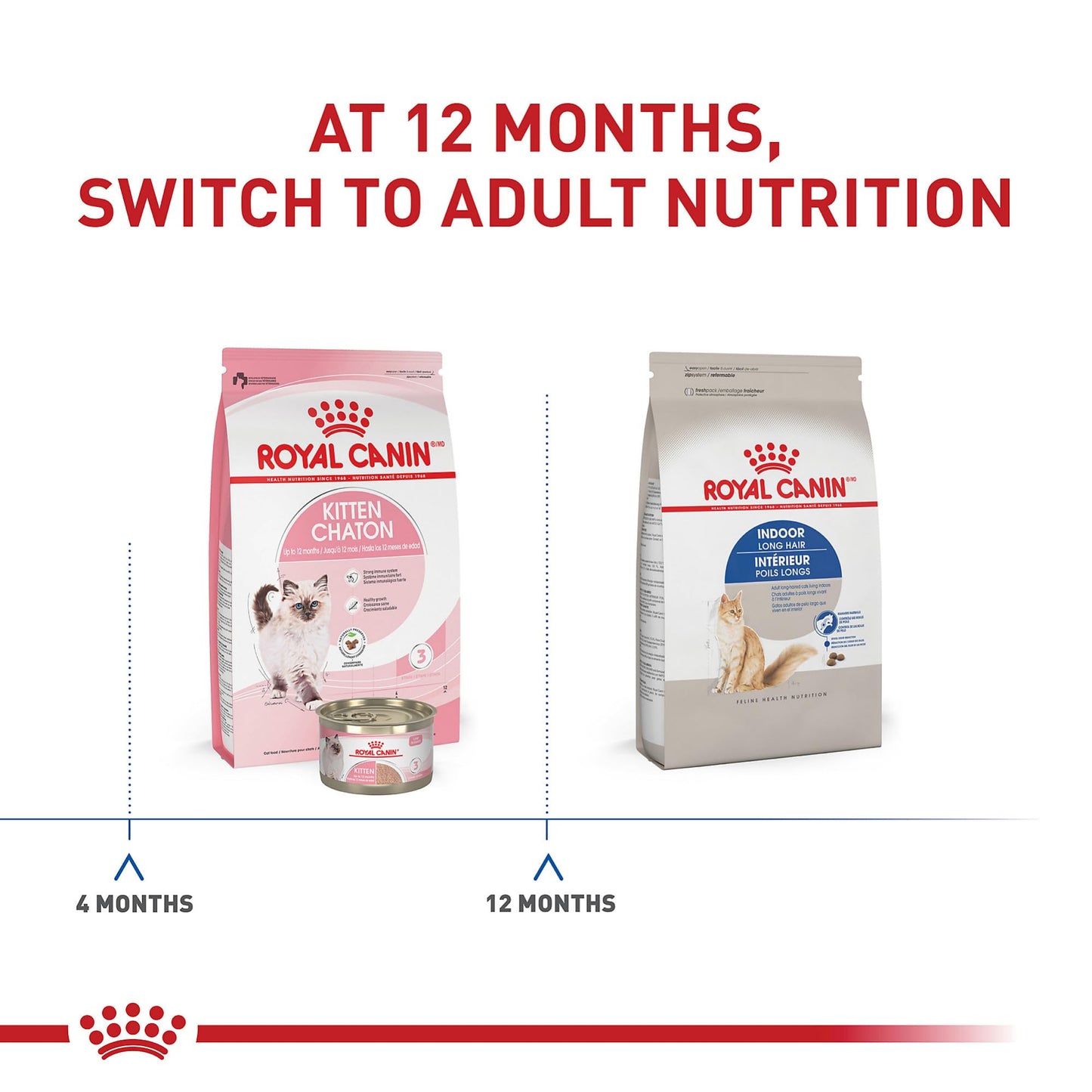 Royal Canin Indoor Long Hair Adult Dry Cat Food, 6 lb bag ROYAL CANIN
