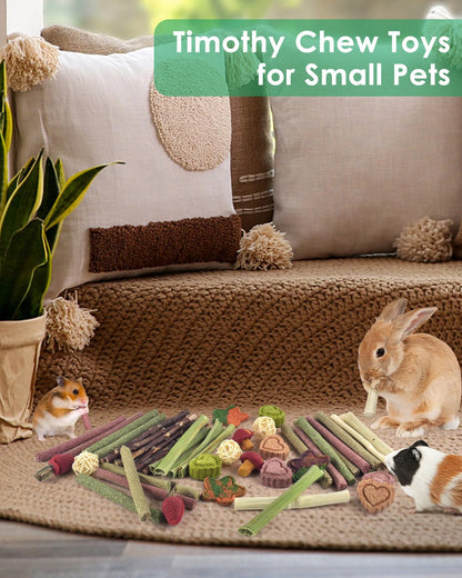 ERKOON 53PCS Bunny Chew Toys, Rabbit Chew Toys for Teeth Grinding, Improve Dental Health, 100% Natural Apple Wood Timothy Grass Cake Treats for Rabbits Guinea Pigs Chinchillas Bunnies Hamsters 🍁 All In One Marketplace Canada