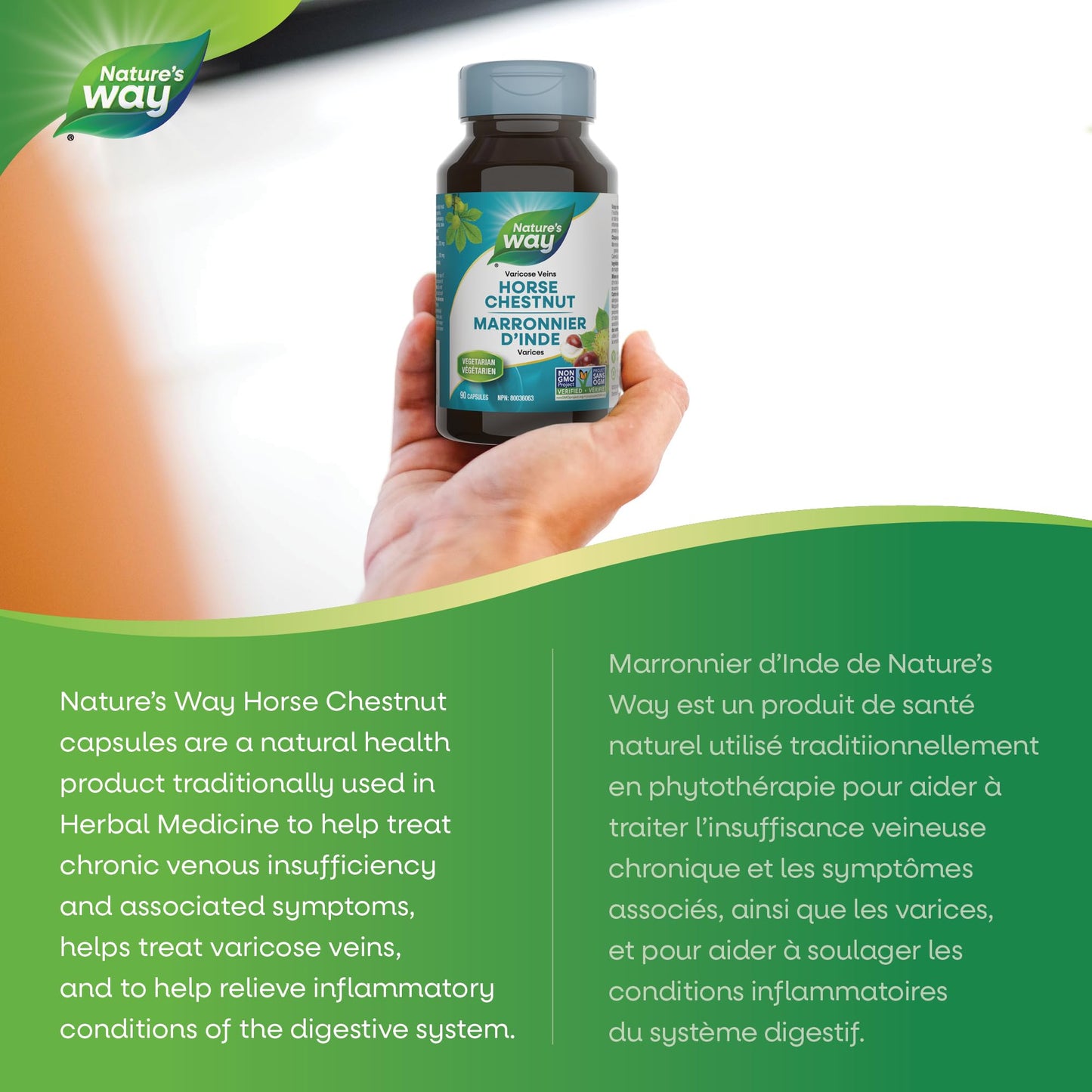 Nature's Way Horse Chestnut Supplement – Helps Treat Varicose Veins and Associated Symptoms – Digestive System Inflammation Relief – 100mg Calendula, 250mg Horse Chestnut – 90 Vegetarian Capsules - Available at All In One Marketplace Canada