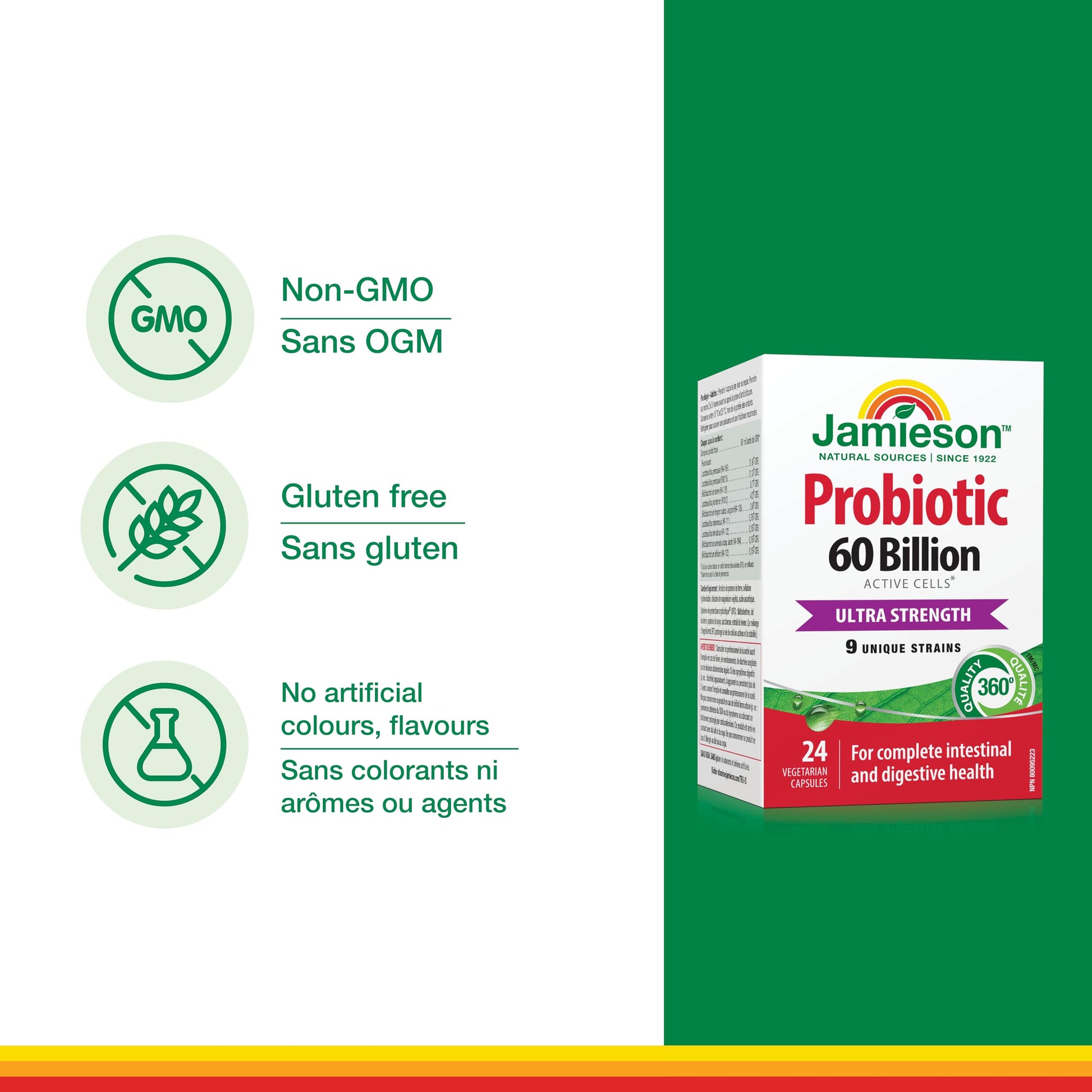 Jamieson Probiotic 60 Billion Active Cells, Ultra Strength, Supports Digestive Health and Intestinal Health. 9 Unique Strains, Including Lactobacillus and Bifidobacterium, Non-GMO, Gluten-Free, 24 Vegetarian capsules - Available at All In One Marketplace Canada