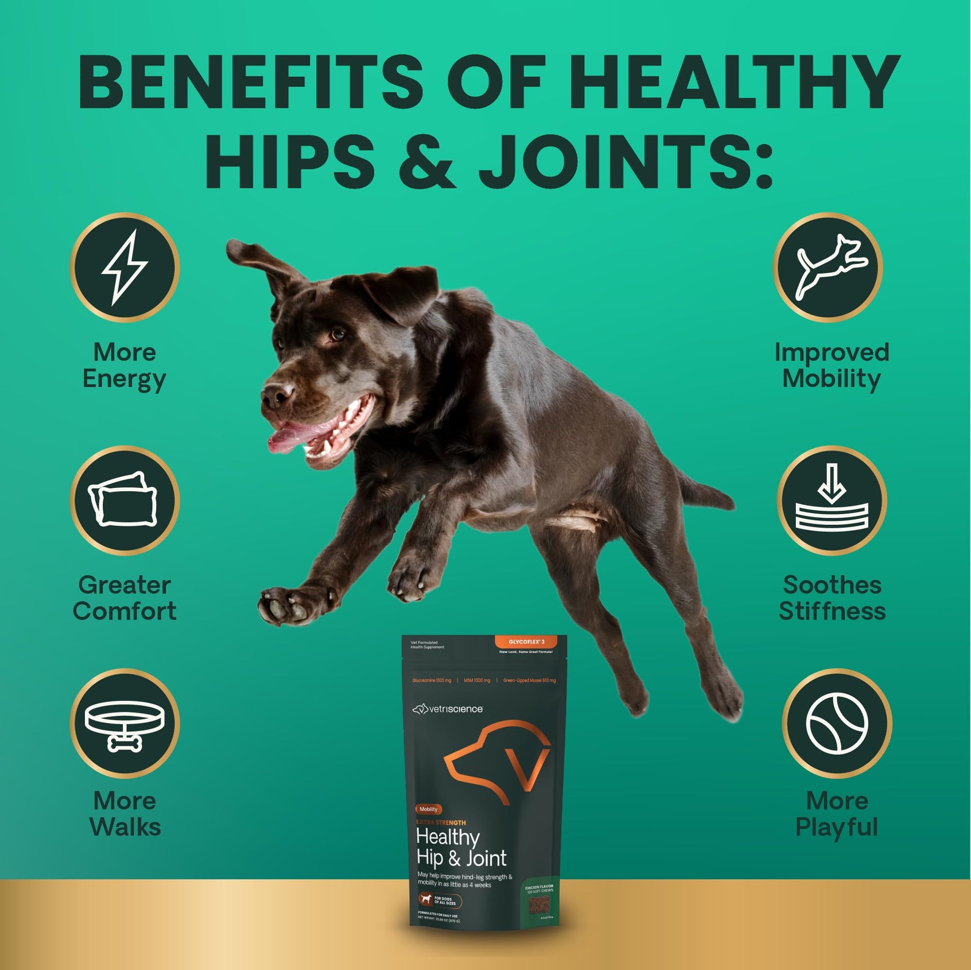 VETRISCIENCE Glycoflex Clinically Proven Hip and Joint Supplement with Glucosamine for Dogs, Chicken, 60 Chews - Vet Recommended Mobility Support Supplement with DMG, MSM, and Perna Vetri-Science Laboratories