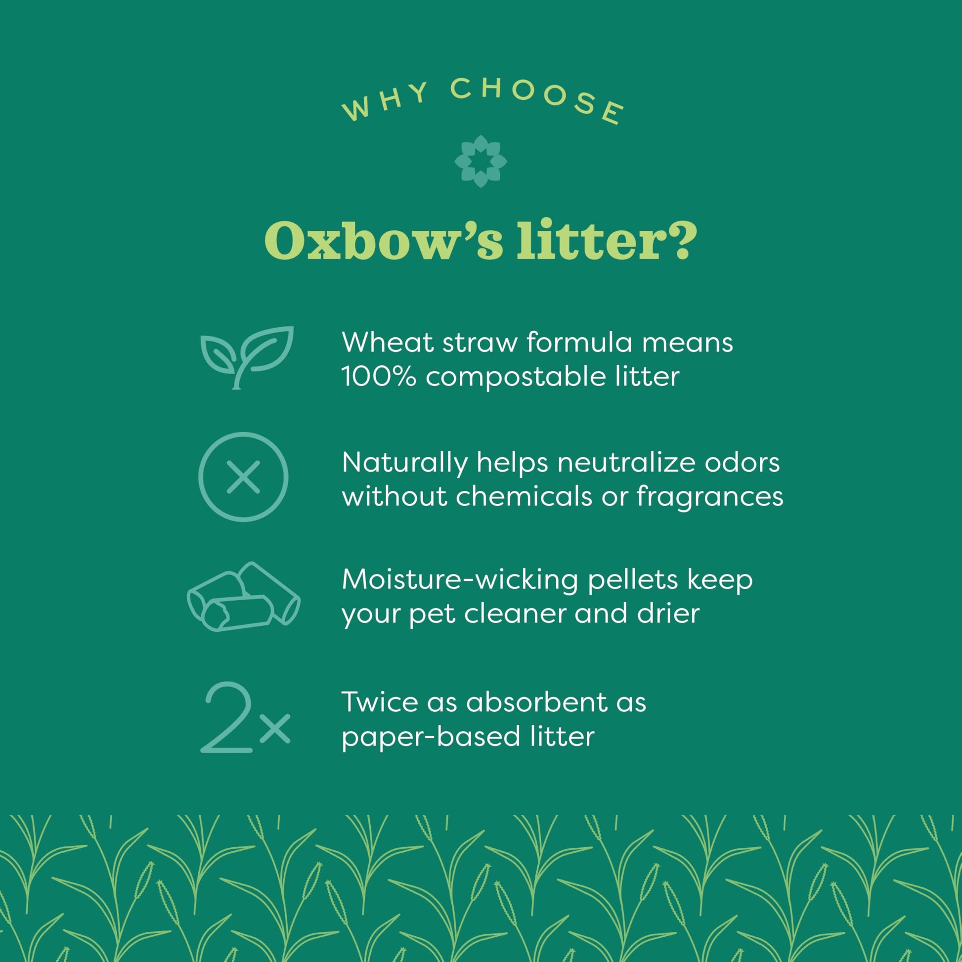 Oxbow Bene Terra Eco-Straw 20-Pound OXBOW