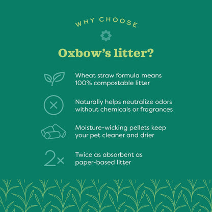 Oxbow Bene Terra Eco-Straw 20-Pound OXBOW