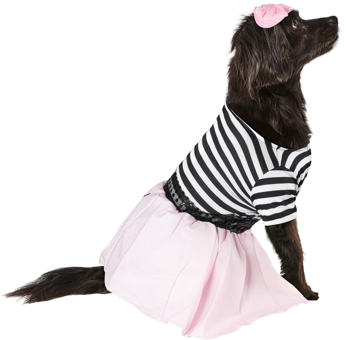 Rubies Costume Co Halloween Classics Collection Pet Costume, X-Large, 50s Girl Dress