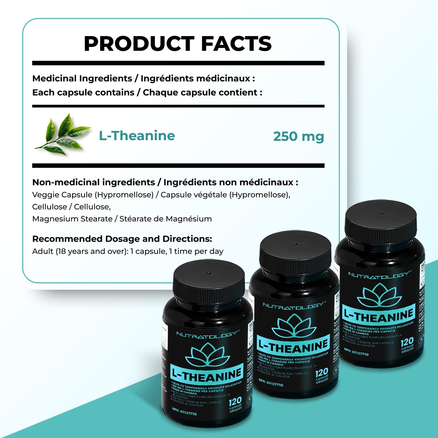 Nutratology® L-Theanine 250MG Capsules | Canadian-Made | For Stress Management | Promotes Relaxation & Calmness Without Drowsiness - L-Theanine Supplement for Stress Relief | 120 Capsules