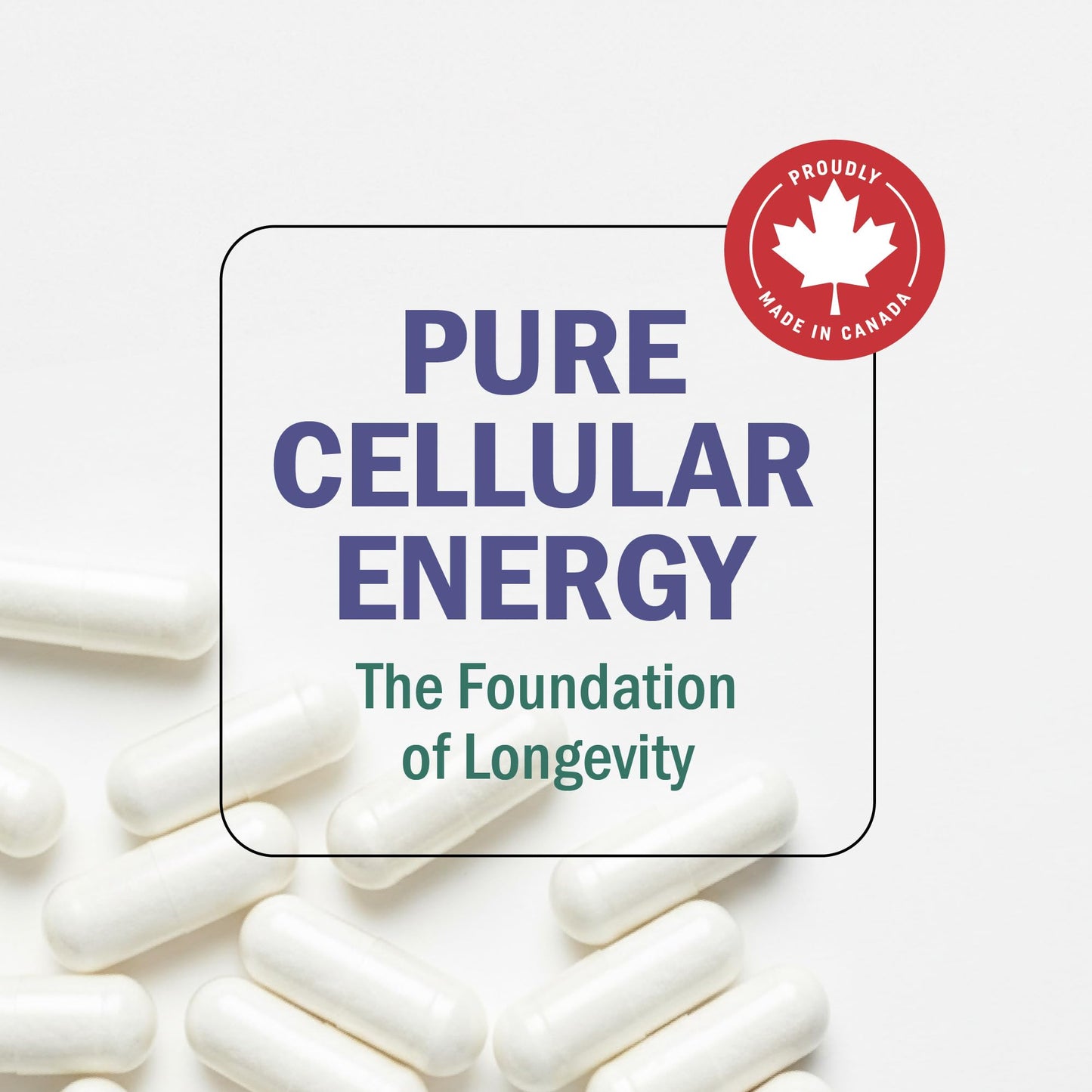 NMN Supplement 1200mg | Extra Strength | NAD+ Precursor for Healthy Aging, Cellular Energy & Longevity Support | 99% Purity | NMN Supplement Canada Made, Third-Party Tested & Vegan | 60 Capsules - Available at All In One Marketplace Canada