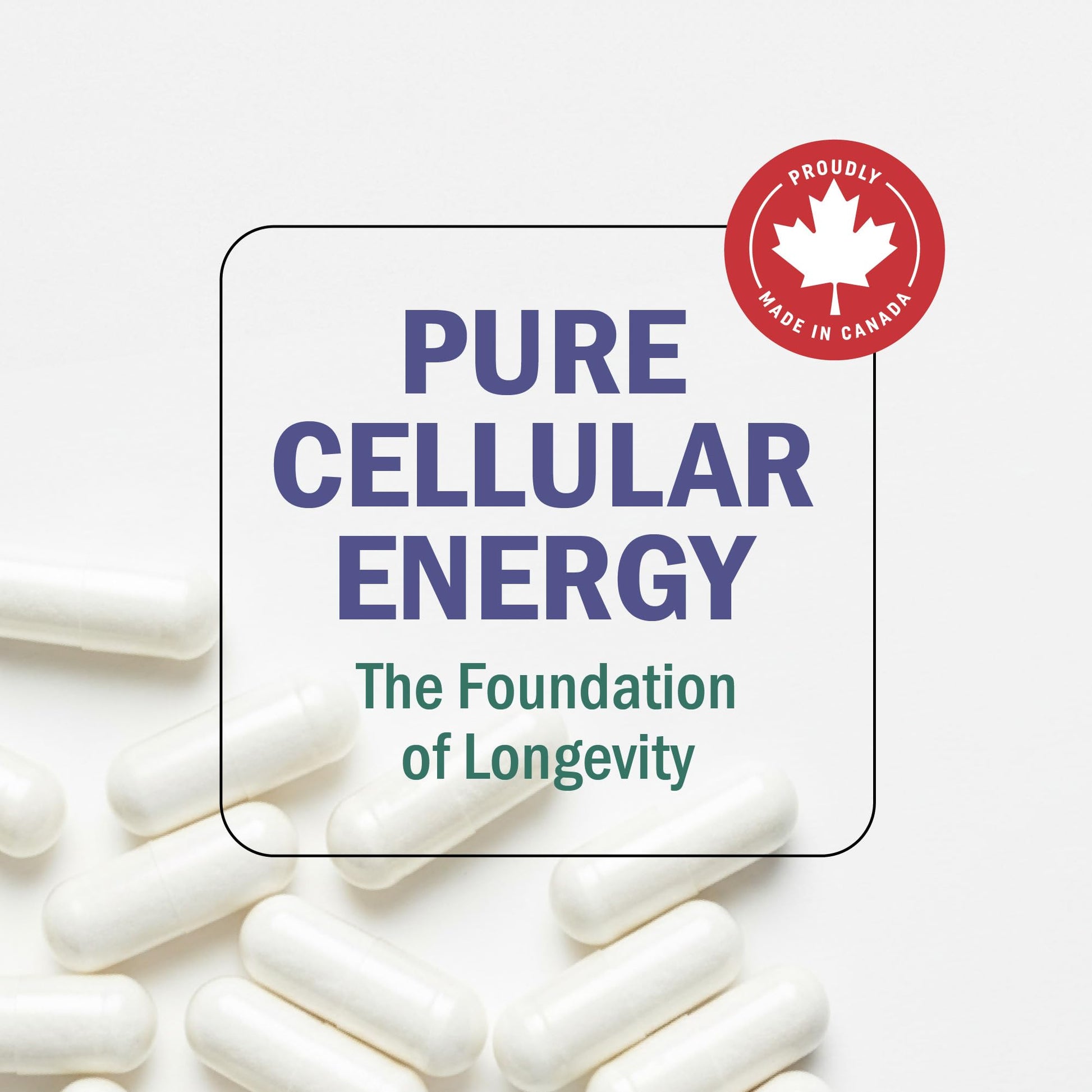 NMN Supplement 1200mg | Extra Strength | NAD+ Precursor for Healthy Aging, Cellular Energy & Longevity Support | 99% Purity | NMN Supplement Canada Made, Third-Party Tested & Vegan | 60 Capsules - Available at All In One Marketplace Canada