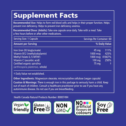 VITALITY Power Iron Supplement 45 mg – Gentle Iron, Vitamin C, B12 & Folate VITALITY