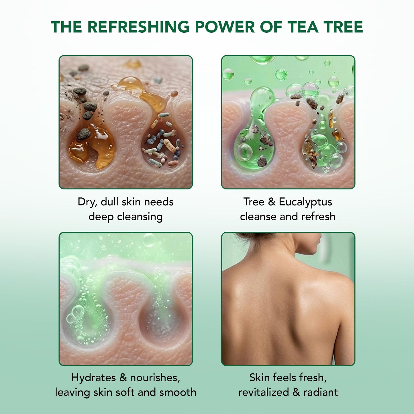 Botanic Hearth Eucalyptus Tea Tree Body Wash | Shower Gel - 16 fl oz | for Men and Women | Antifungal, Moisturizing & Soothing Formula with Natural Oils - Available at All In One Marketplace Canada