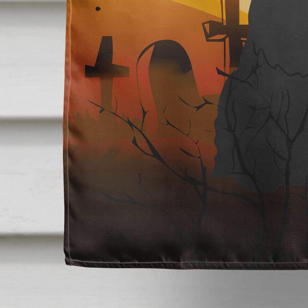 Drapeau de maison Caroline's Treasures BB4332CHF Halloween Schnauzer Géant en toile, grand format, multicolore