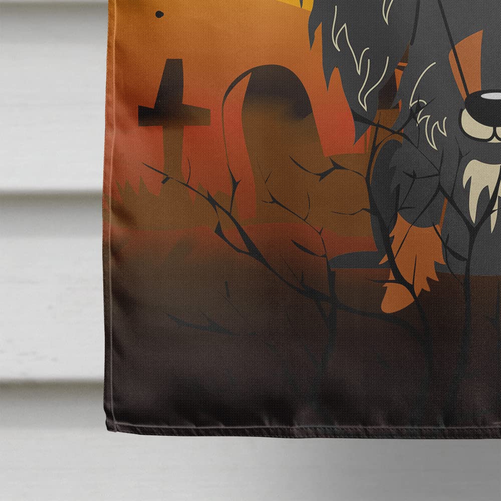 Drapeau de maison en toile Caroline's Treasures BB4394CHF, Teckel à poil dur, Halloween, grand format, multicolore
