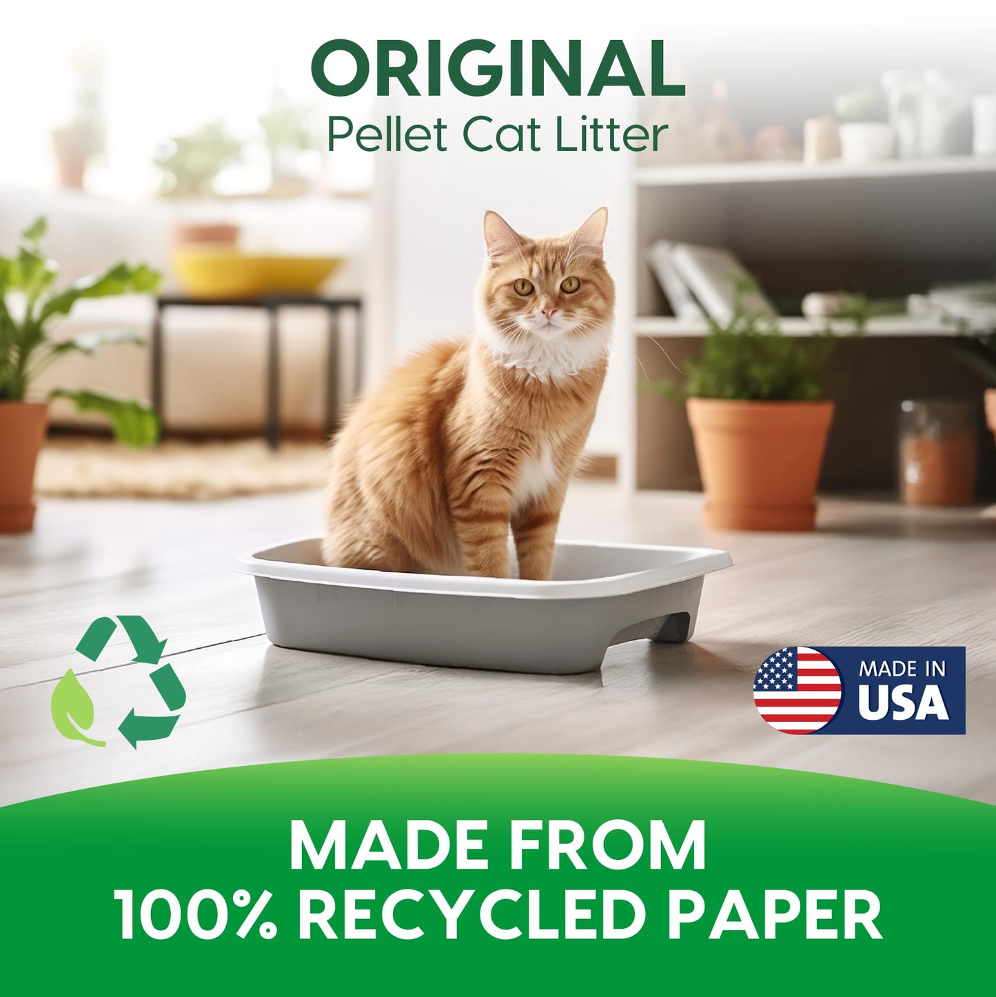 Fresh News Post Consumer Paper Pellet Cat Litter, 12-Pound 🍁 All In One Marketplace Canada