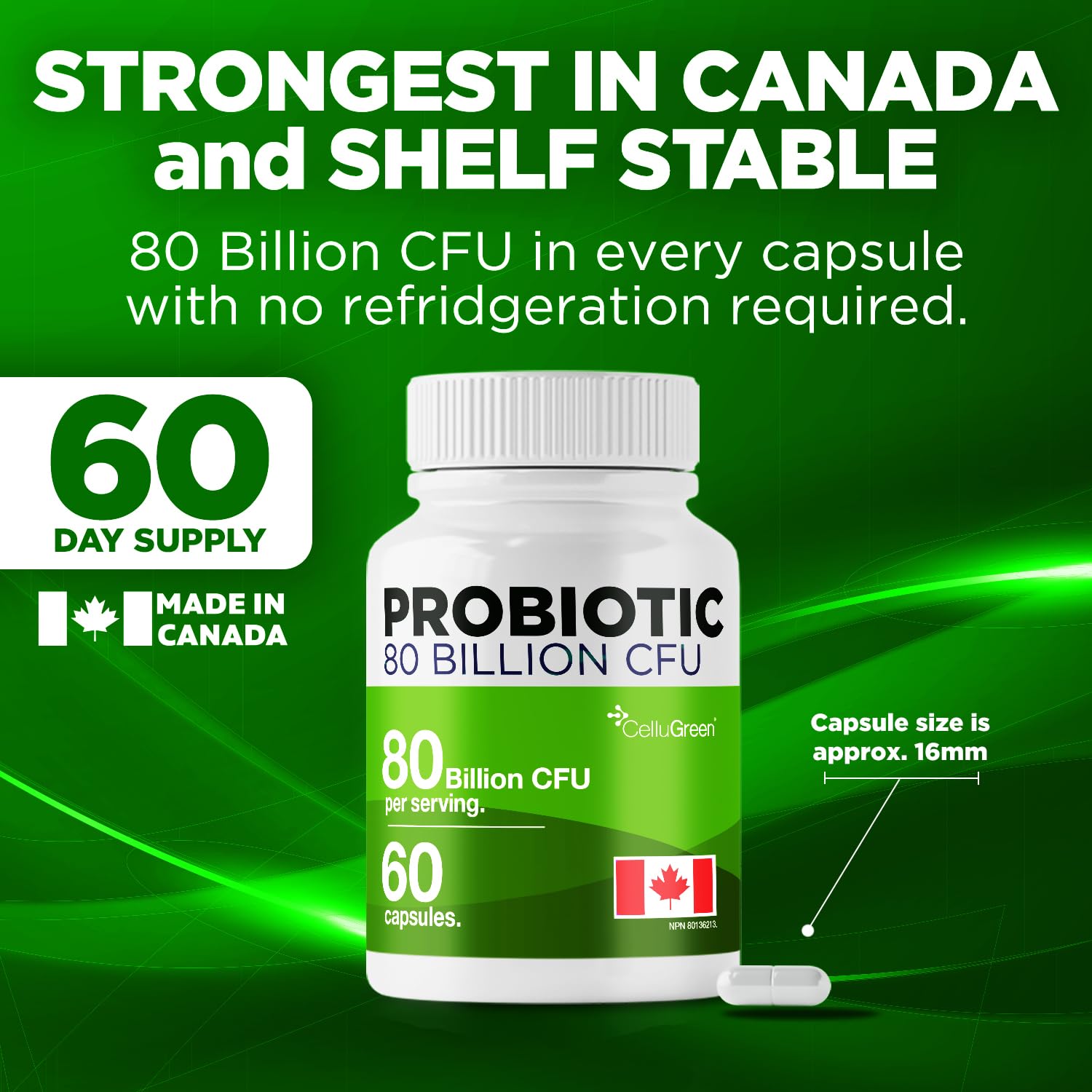 CelluGreen Probiotics 80 Billion CFU for Men & Women – 15 Strains – Digestive & Gut Health Support – Bloating & Gas Relief – Shelf Stable, Vegan, Non-GMO – 60 Capsules - Available at All In One Marketplace Canada