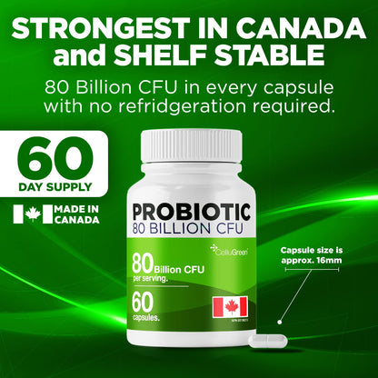 CelluGreen Probiotics 80 Billion CFU for Men & Women – 15 Strains – Digestive & Gut Health Support – Bloating & Gas Relief – Shelf Stable, Vegan, Non-GMO – 60 Capsules - Available at All In One Marketplace Canada