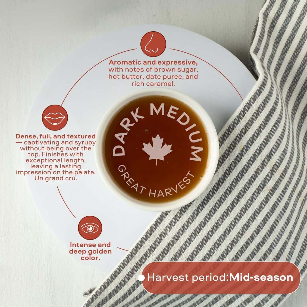 Escuminac Pure Organic Maple Syrup – Grade A Medium Amber – 12 Pack of 50ml Glass Bottles from Quebec