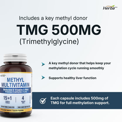 Herba Methylated Multivitamin with 500mg TMG & Methylated B Complex - 120 Capsules | 15 in 1 Formula | B Complex Vitamins for Women & Men including Methyl Folate Supplement | Vegan | Made in Canada - Available at All In One Marketplace Canada