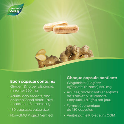 Nature's Way Ginger Root – Traditional Digestive Support Supplement - Used in Herbal Medicine to Help Relieve Digestive Upset – Non-GMO - 180 Vegetarian Capsules, Value Size - Available at All In One Marketplace Canada