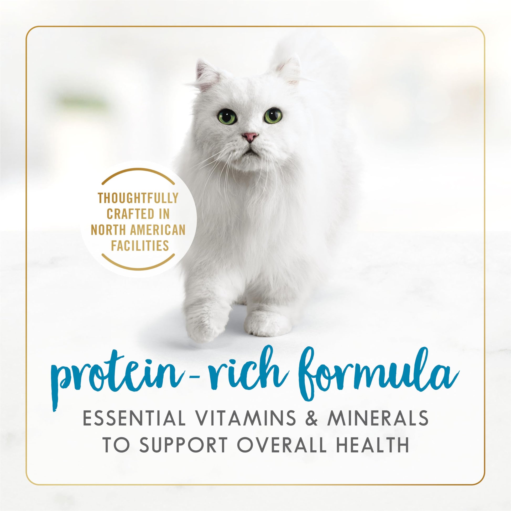 Fancy Feast Grilled Wet Cat Food, Whitefish & Tuna Feast in Gravy - 85 g Can (24 Pack) 🍁 All In One Marketplace Canada Fancy Feast