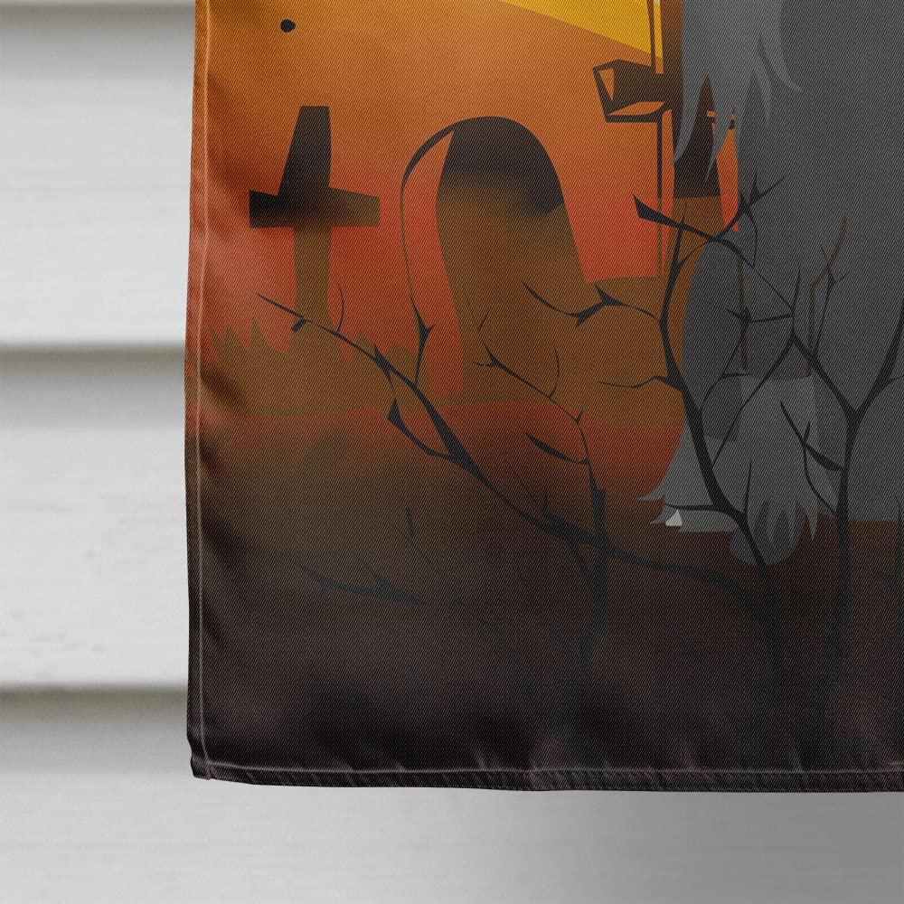 Caroline's Treasures BB4378CHF Halloween Chinese Crested Black Flag Canvas House Size, Large, Multicolor