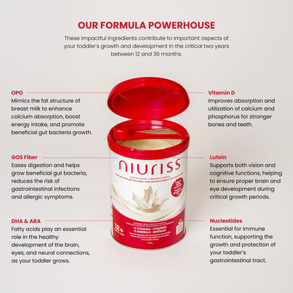 NIURISS Toddler Formula - 27 Micronutrients, OPO Lipids & GOS Fiber, Canadian Milk, Kosher & Halal Certified - 900g (12-36 months)