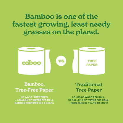 Caboo Tree Free Paper Towels, Sustainable, Toxin Free, 6 Family Size Rolls
