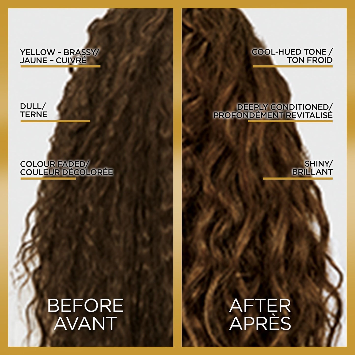 L'Oreal Paris Le Color Gloss One Step Toning Hair Gloss Treatment, Cool Brunette, Enhance Your Shine with this Semi Permanent Hair color, 1 Kit 🍁 All In One Marketplace Canada