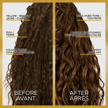 L'Oreal Paris Le Color Gloss One Step Toning Hair Gloss Treatment, Cool Brunette, Enhance Your Shine with this Semi Permanent Hair color, 1 Kit 🍁 All In One Marketplace Canada