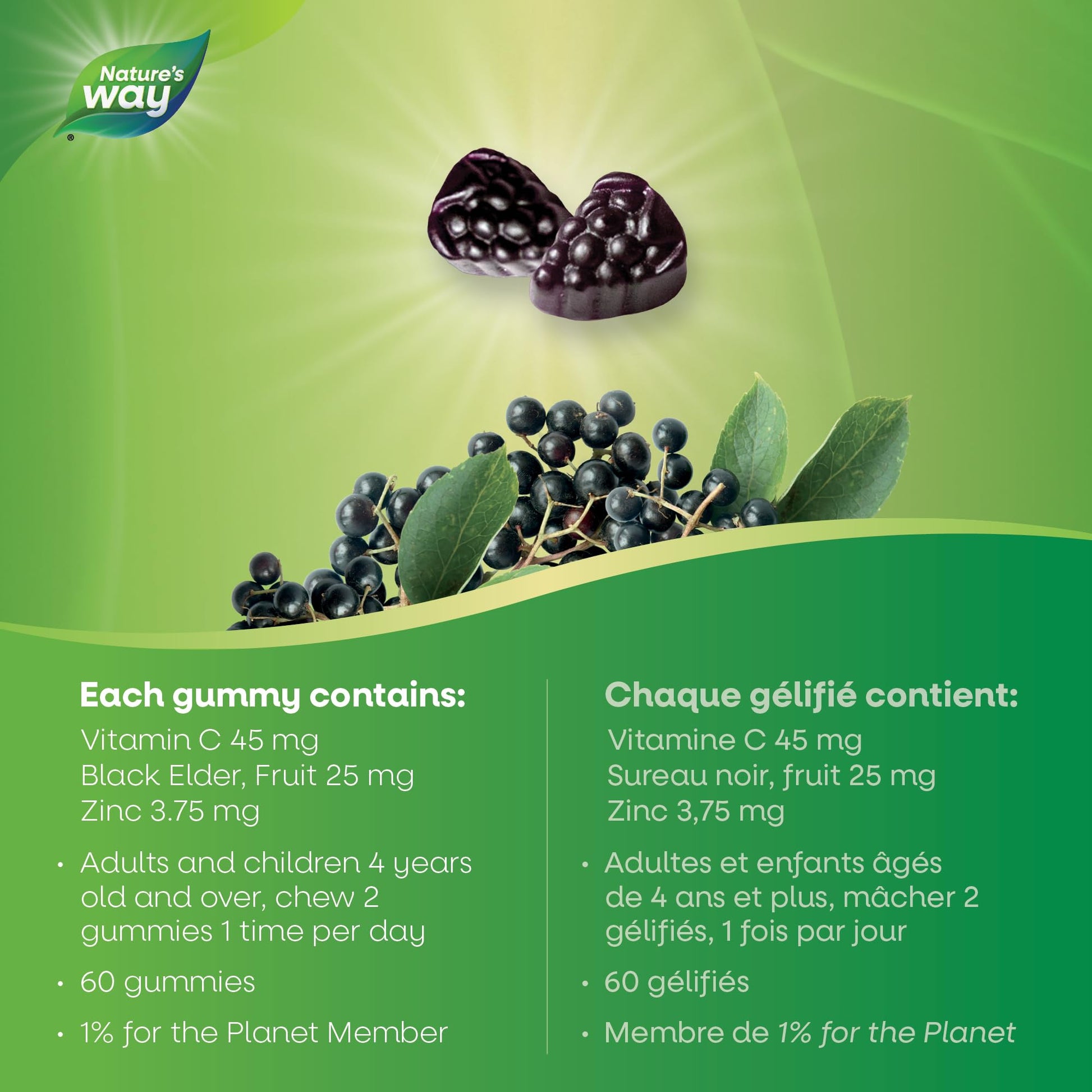 Nature's Way Sambucus Immune Cold and Flu Care Elderberry Gummies with Vitamin C and Zinc - Immune Support for Kids 4+, 60 Gummies - Available at All In One Marketplace Canada