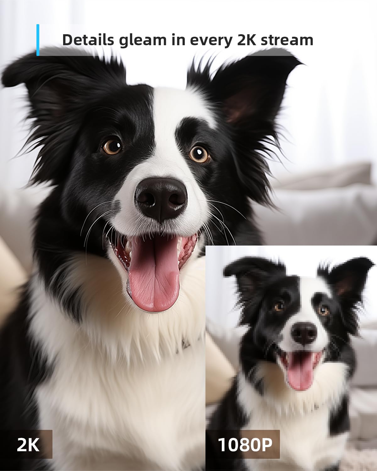 blurams Security Camera, 2K Indoor Camera 360-degree Pet Camera for Home Security w/ Motion Tracking, Phone App, 2-Way Audio, IR Night Vision, Siren, Works with Alexa & Google Assistant,White - Available at All In One Marketplace Canada