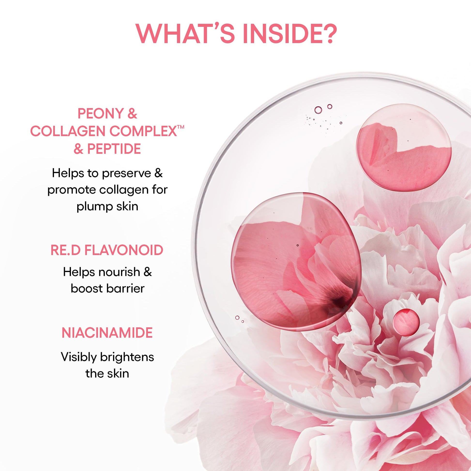 LANEIGE Bouncy & Firm Serum: Korean Slow Aging Collagen Serum with Peptides for Plumping, Firming, & Hydrating - Available at All In One Marketplace Canada