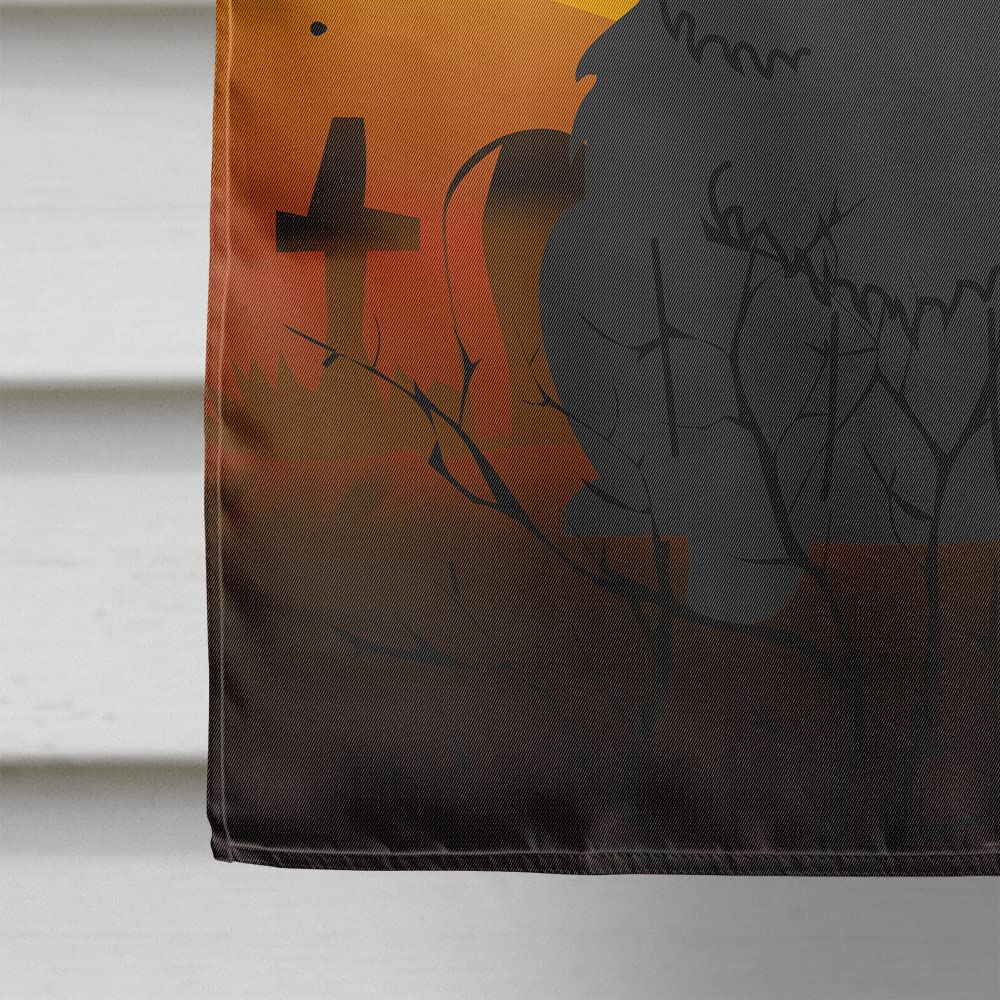 Drapeau de maison Caroline's Treasures BB4409CHF Halloween Chow Chow en toile noire, grand, multicolore