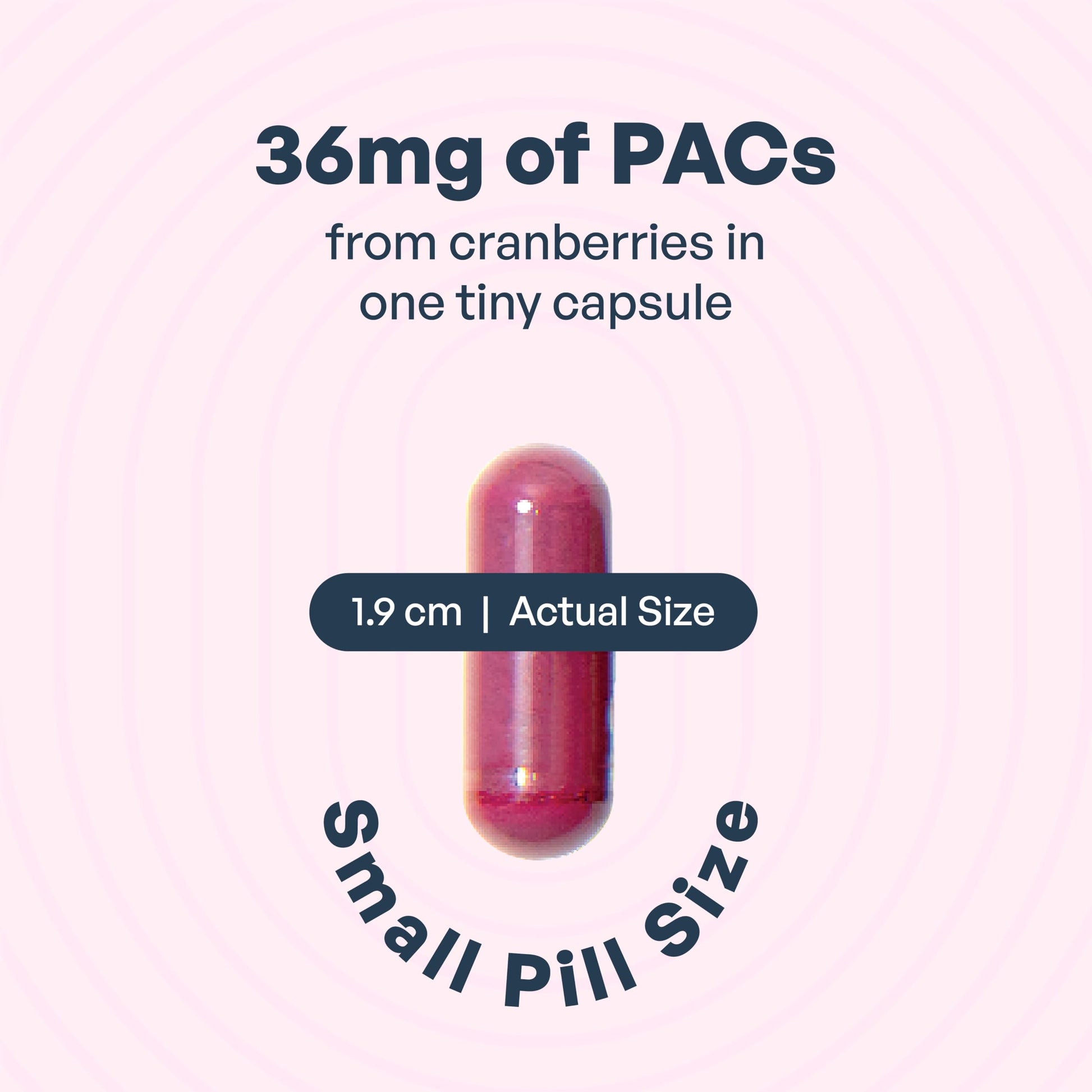 Utiva UTI Control Cranberry PACs - #1 Doctor- Recommended for UTI prevention - 36mg PACs for Urinary Tract Infection Avoidance - Supplement for Urinary Tract Health for Women and Men – Cranberry Extract Pills for urinary & bladder health, 90 Vegi Capsules