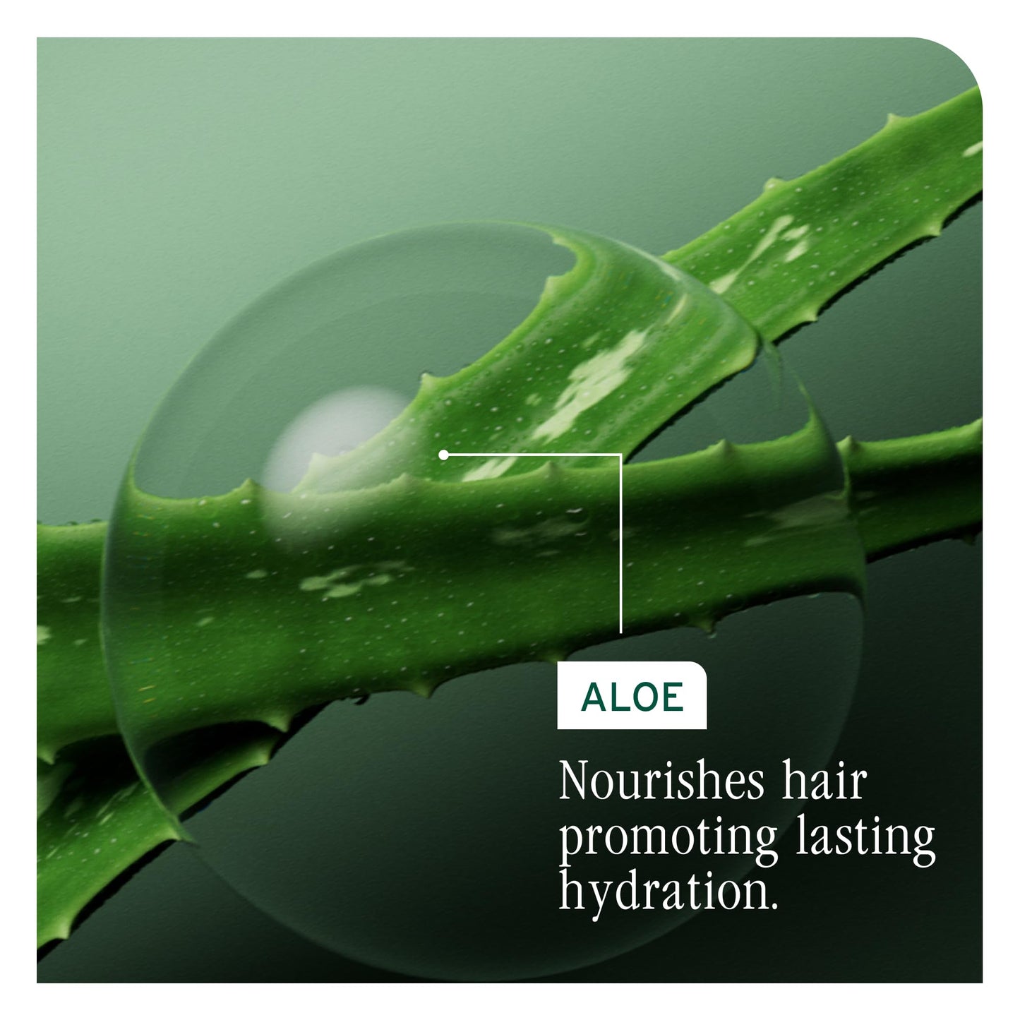 Biolage Detangling Solution for Smooth, Manageable Hair, 500 mL BIOLAGE