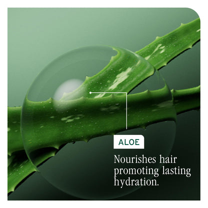 Biolage Detangling Solution for Smooth, Manageable Hair, 500 mL BIOLAGE