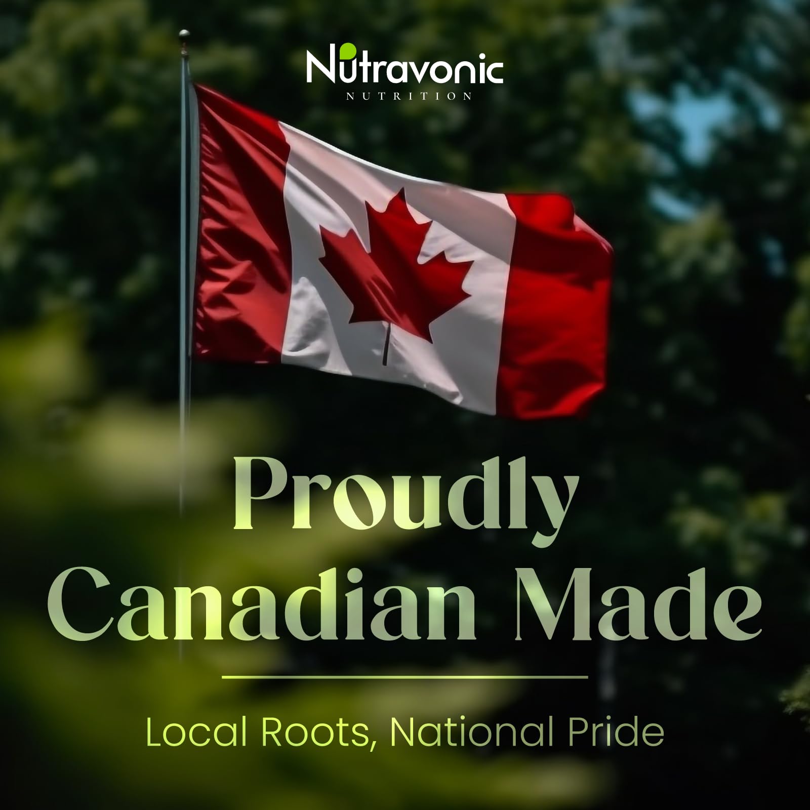 Nutravonic Berberine Supplements 1000mg Per Serving, 500mg Per Capsule | Made in Canada I Supports Healthy Glucose & Lipid Metabolism | Non-GMO, Vegan, Gluten-free, 120 Easy-to-Swallow Capsules - Available at All In One Marketplace Canada