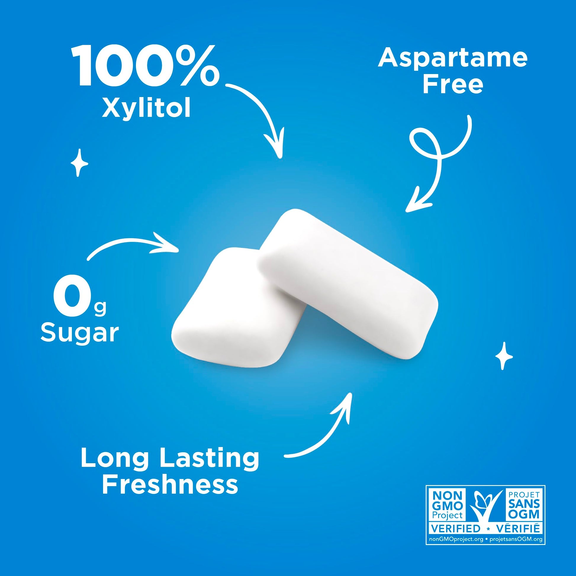 PUR Gum | Aspartame Free Chewing Gum | 100% Xylitol | Natural Peppermint Flavoured Gum, 55 Pieces (Pack of 6) - Available at All In One Marketplace Canada