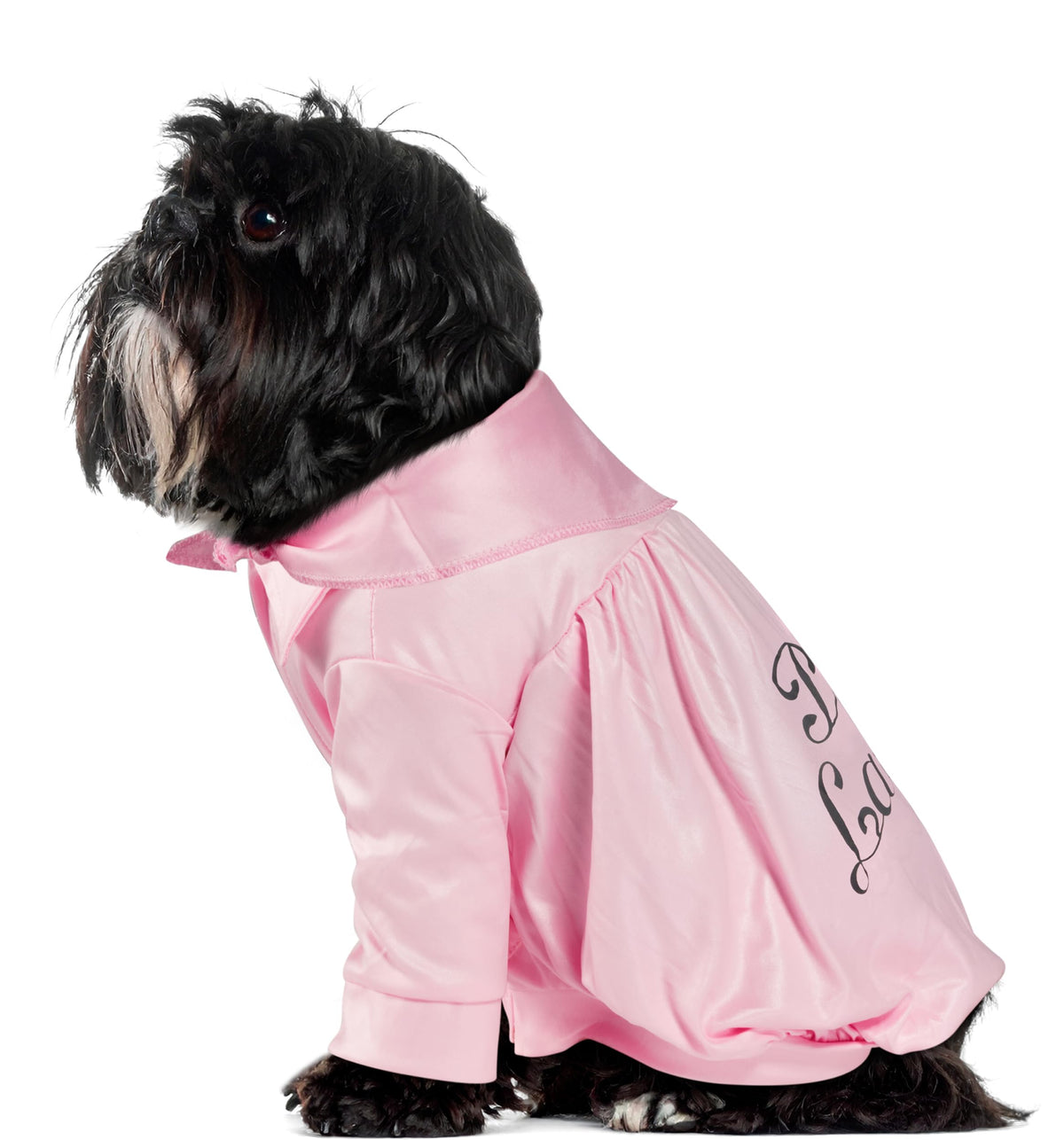 Veste Pink Ladies pour animal de compagnie, 40e anniversaire de Grease, par Rubies, pour soirées à thème et Halloween, très petite (XS)