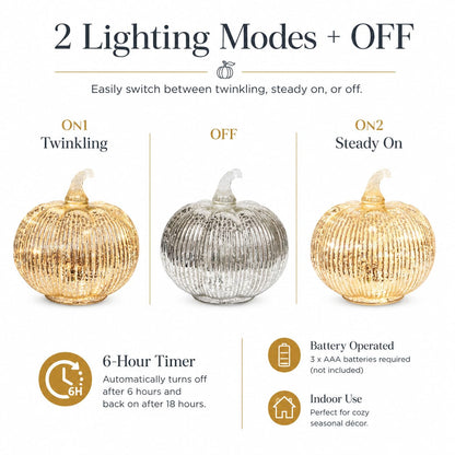 Hvfun 5.5 "(14cm) Mercury Glass Light up Pumpkin with Timer- Battery Operated Table Lamps for Festive Decoration-Thanksgiving Home Decoration Decorations (Silver) 🍁 All In One Marketplace Canada