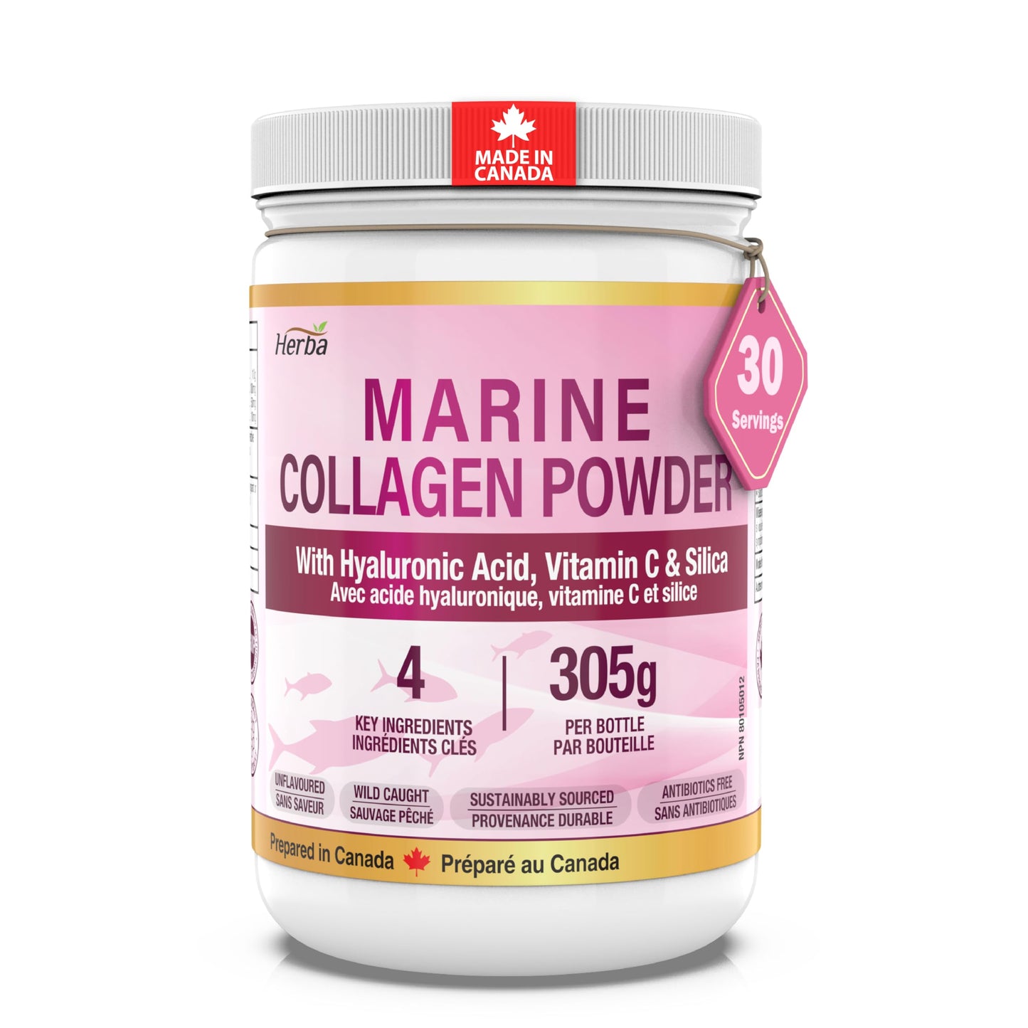 Herba Marine Collagen Powder for Women & Men with Hyaluronic Acid, Vitamin C, and Silica – 305g | Made in Canada | Wild Caught | Hydrolyzed Collagen Peptides | Antibiotics Free | Sustainably Sourced - Available at All In One Marketplace Canada